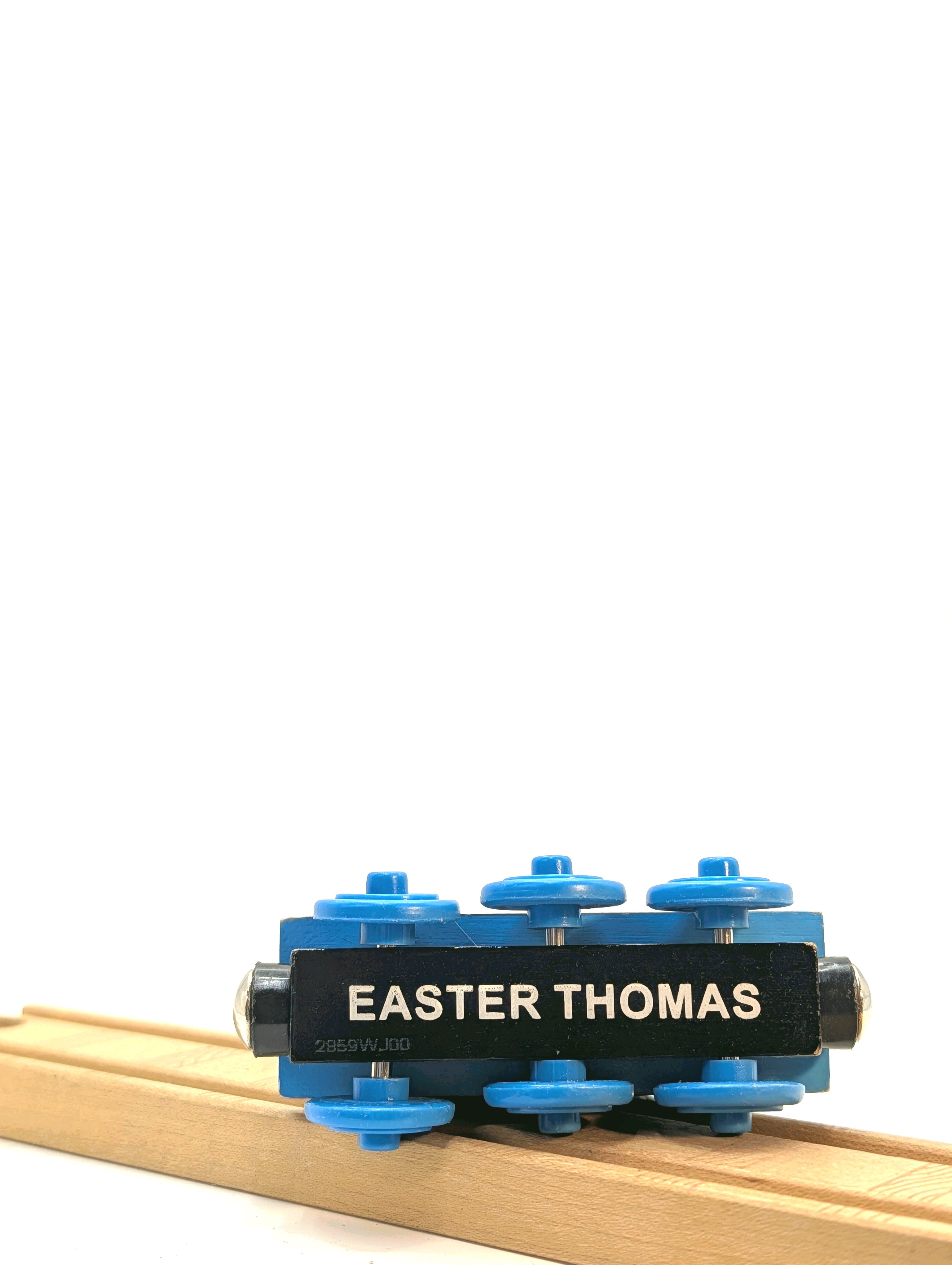 Day Out With Thomas 2010
